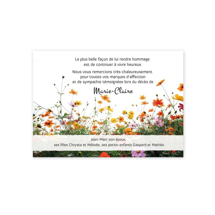 remerciements décès, jardin de fleurs sauvages, Pickasso