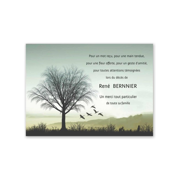 Carte condoléances, paysage arbre cyprès