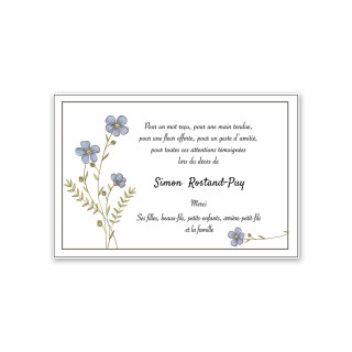 Carte remerciements de condoléances, petite fleurs bleutées,  Bretonne