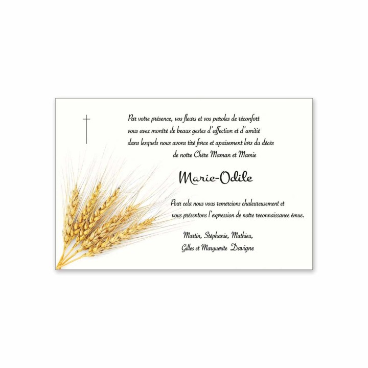 carte condoléances funérailles TRADITION Épis de blés dorés