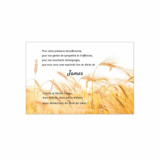 carte condoléances,  décès PAYSAGE DE CULTURE DE  blé