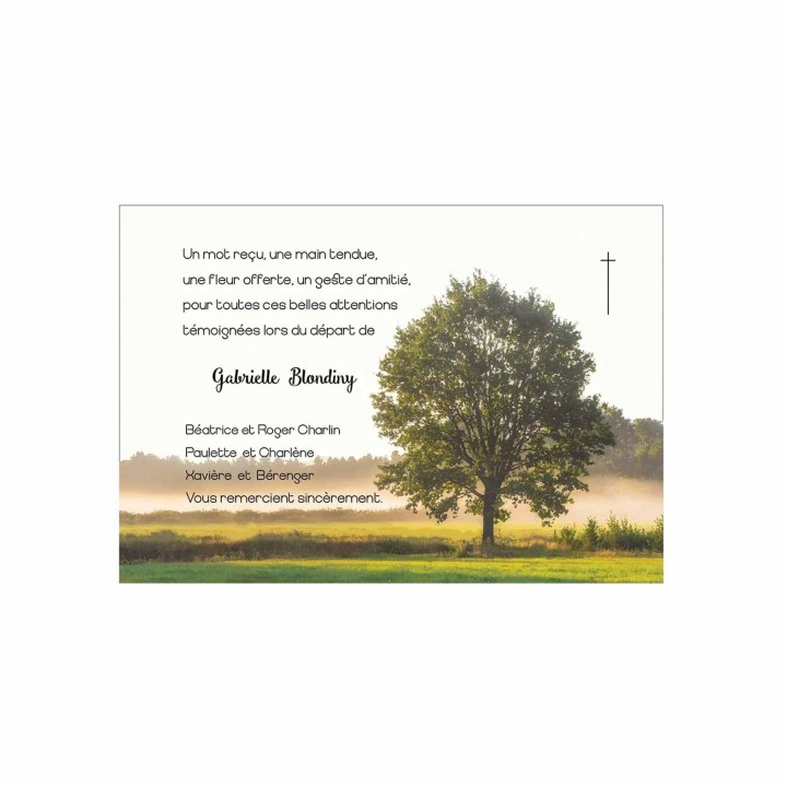 remerciements DEUIL, le  chêne arbre roc