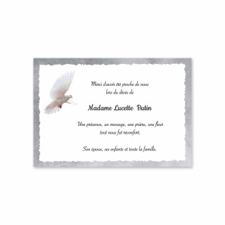 carte remerciements, la colombe blanche en envol