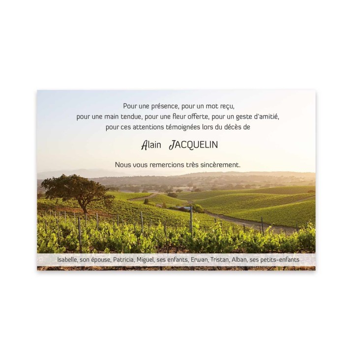 CARTE remerciements décès LA VIGNE, terre de vignoble paysage FRANCAIS