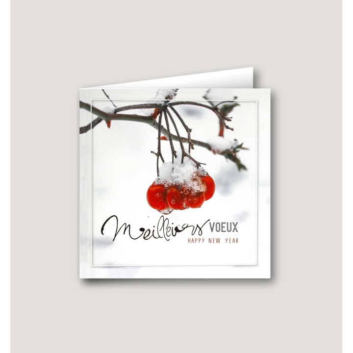carte de vœux  branche de houx enneigé,  entreprise personnalisé à grenoble