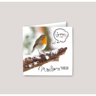 Carte meilleurs VOEUX  entreprise personnalisée oiseau ROUGE GORGE sur branche enneigée