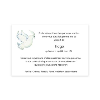 CARTE REMERCIEMENTS Décès une COLOMBE  aquarelle de TRADITION