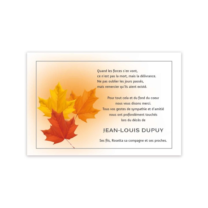 Carte remerciements décès FEUILLES MARRONNIER,  condoléances  naturel