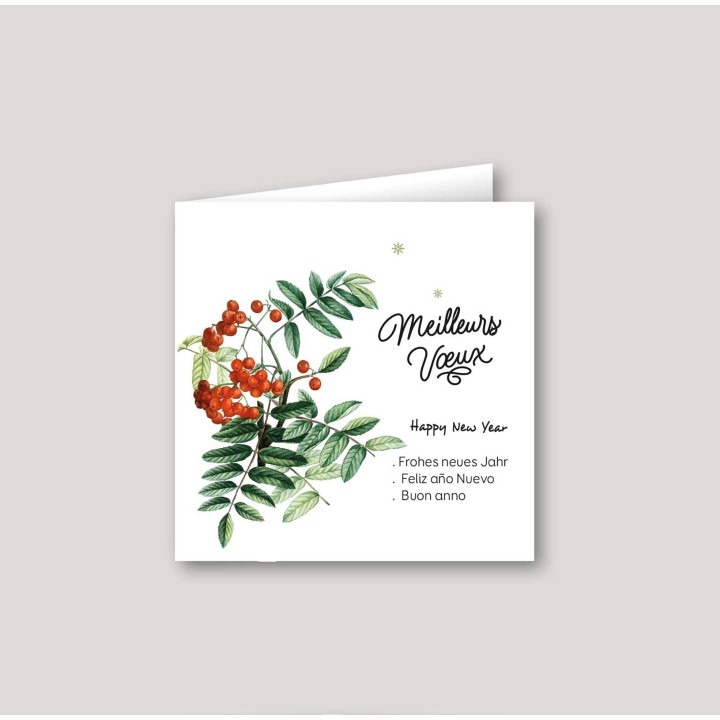 carte de vœux entreprise FOUGERE-HOUX