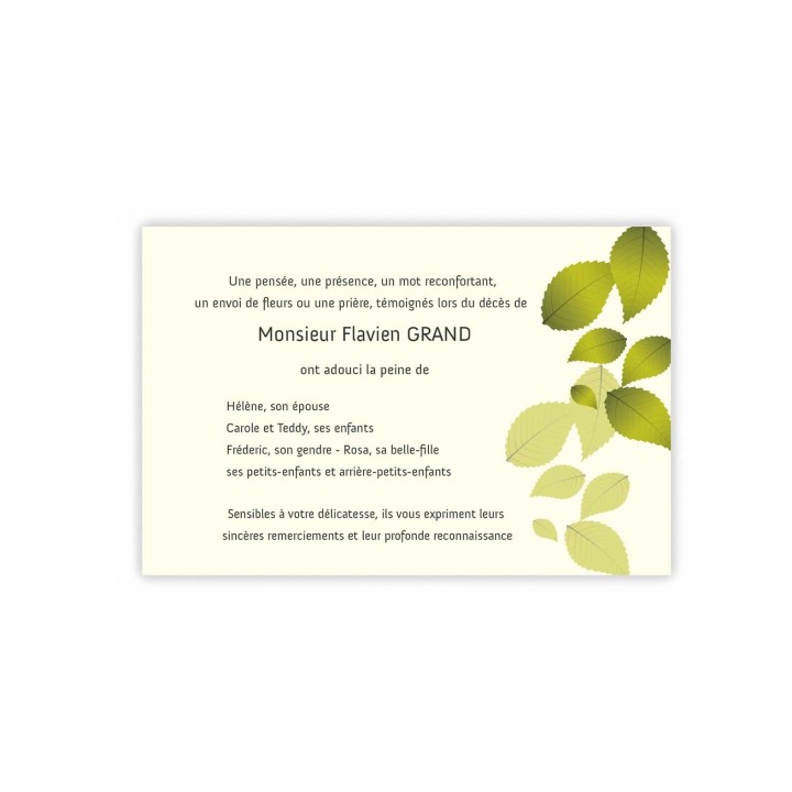 CARTE REMERCIEMENTS DÉCÈS, TAPIS DE FEUILLES AUTOMNE