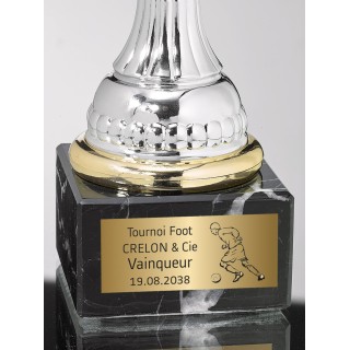 plaques de coupe  foot gravées personnalisées, récompenser les exploits sportifs et les réalisations exceptionnelles.