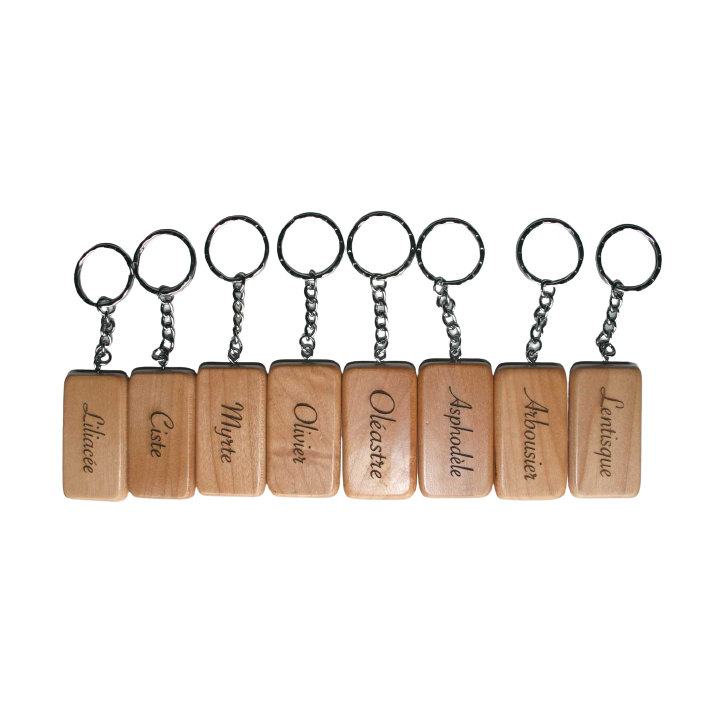 Porte clé en bois de hêtre rectangle, cadeau artisanal écolo. économique gravé a Grenoble