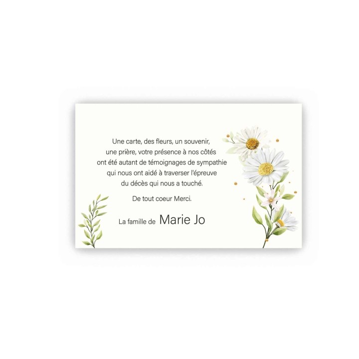 Carte remerciements décès, PAQUERETTE 
 FLEURS BLANCHES