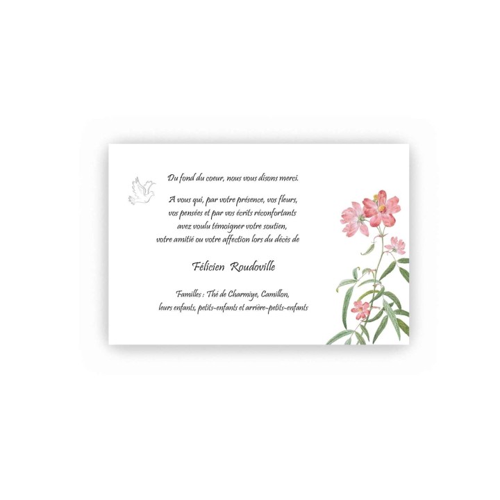CARTE CONDOLEANCES, fleurs rose blanche DE VERDURE, colombe vole