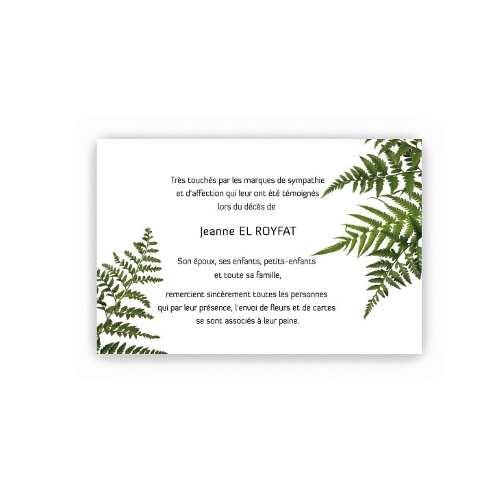 CARTE REMERCIEMENTS DÉCÈS, FOUGERES  NATURE ET BEAUTE