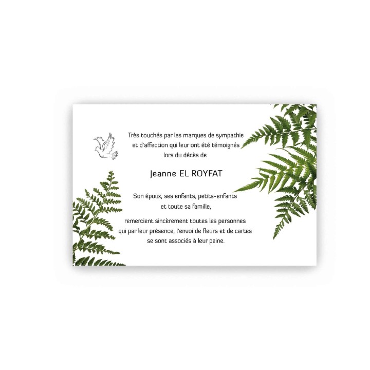 CARTE REMERCIEMENTS DÉCÈS, FOUGERES  NATURE  ET BEAU PAPILLON