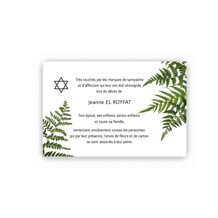 CARTE REMERCIEMENTS DÉCÈS,  HERBES DE FOUGERES SIGNE HEBREU