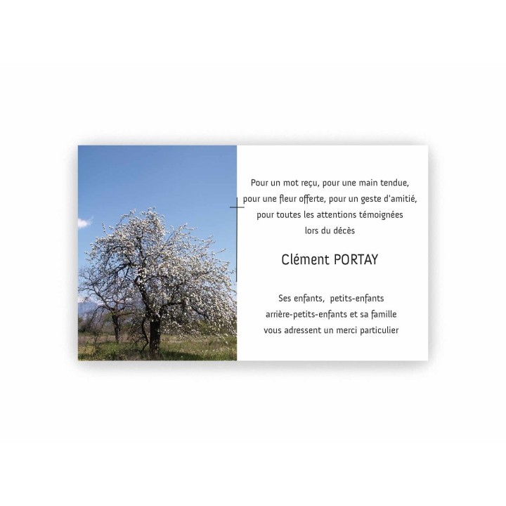 CARTE DECES et condoléances CHEMIN PAISIBLE  SOUS UN ARBRE EN FLEURS