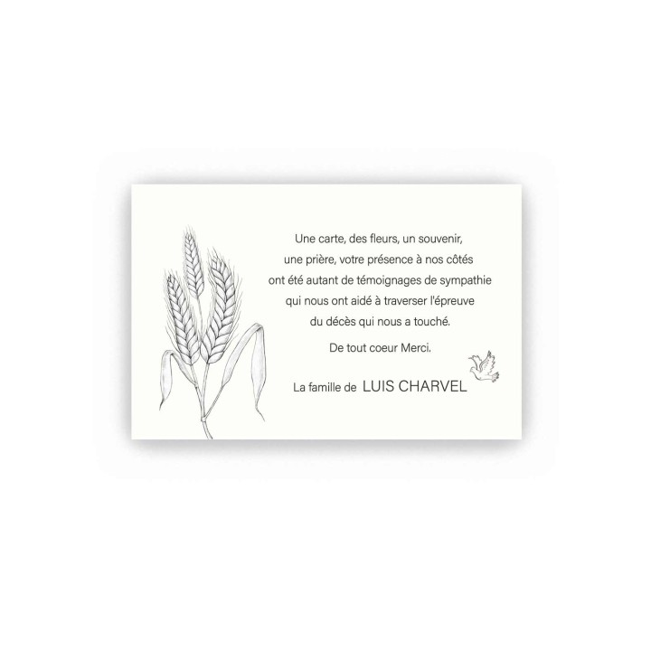 carte CONDOLEANCES EPI DE BLE MEUNERIE, envol de colombe