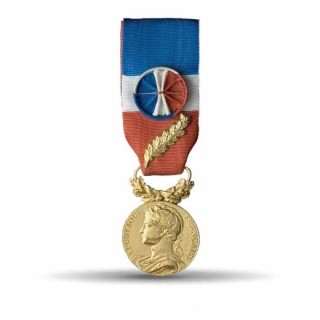 Médaille du travail OR 
35 ans d'ancienneté